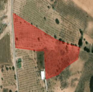 Çayır Mah. 7855m2 Bağ Vasfında Tarla